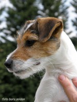 /album/fotogalerie/foto-3622410-jpg/