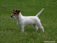 /album/fotogalerie/foto-3622440-jpg/