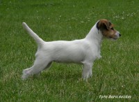 /album/fotogalerie/p6210043-jpg/