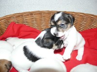 /album/fotogalerie/snimek-634-jpg/