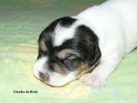 /album/fotogalerie/snimek-534-jpg/