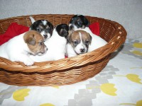 /album/fotogalerie/snimek-624-jpg/