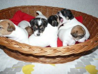 /album/fotogalerie/snimek-625-jpg/