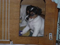 /album/fotogalerie/snimek-039-jpg/