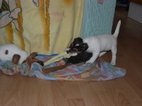 /album/fotogalerie/snimek-209-jpg/