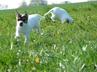 /album/fotogalerie/p1080405-jpg/